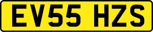 EV55HZS