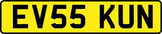 EV55KUN