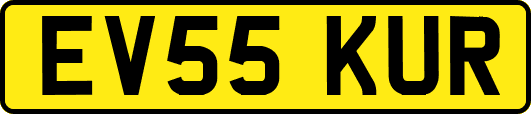 EV55KUR