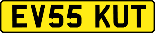 EV55KUT