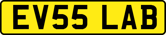 EV55LAB