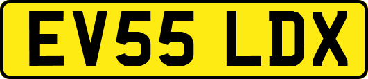 EV55LDX