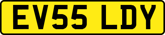 EV55LDY
