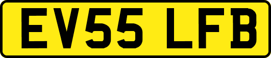 EV55LFB