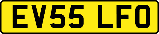 EV55LFO