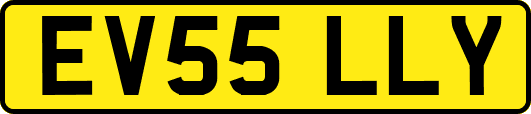 EV55LLY
