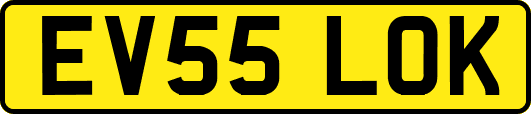 EV55LOK