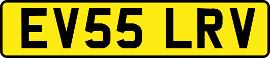 EV55LRV