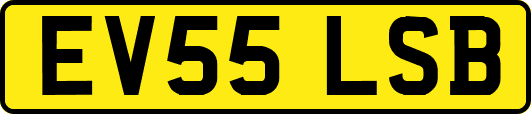 EV55LSB