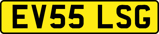 EV55LSG