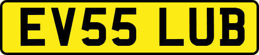 EV55LUB