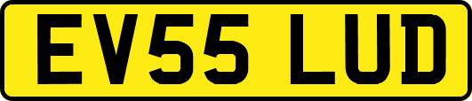 EV55LUD