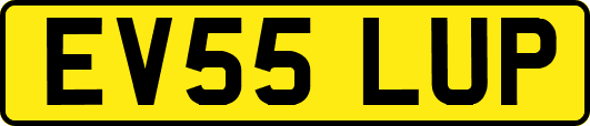 EV55LUP