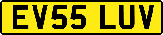 EV55LUV