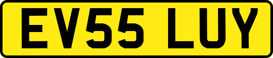 EV55LUY