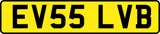 EV55LVB
