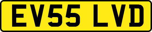 EV55LVD