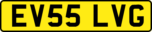 EV55LVG