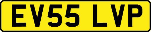 EV55LVP