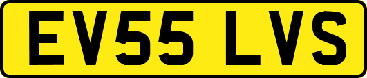EV55LVS