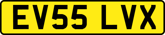 EV55LVX