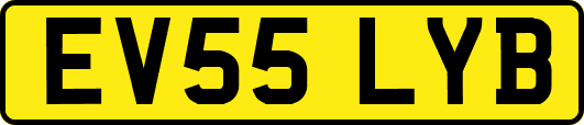 EV55LYB