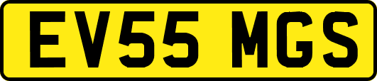 EV55MGS