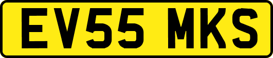 EV55MKS