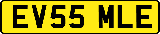 EV55MLE