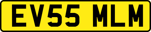 EV55MLM