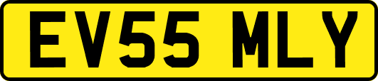 EV55MLY