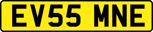 EV55MNE
