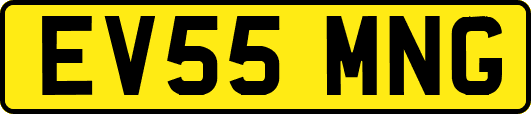 EV55MNG