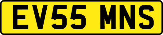 EV55MNS
