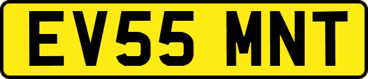 EV55MNT