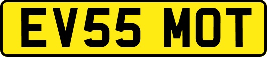 EV55MOT