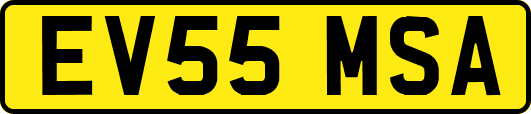 EV55MSA