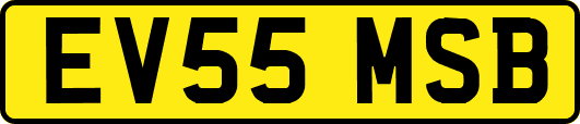 EV55MSB