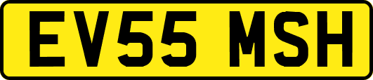 EV55MSH