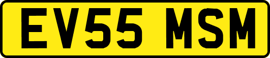 EV55MSM