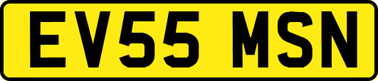EV55MSN