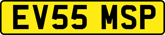 EV55MSP