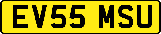 EV55MSU