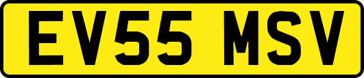 EV55MSV