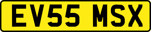 EV55MSX