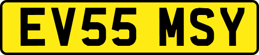 EV55MSY