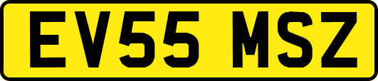 EV55MSZ