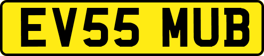EV55MUB