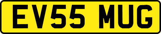 EV55MUG