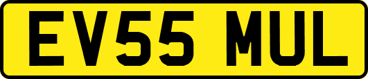 EV55MUL